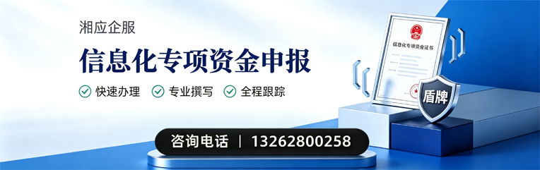 云南信息化专项资金申报服务