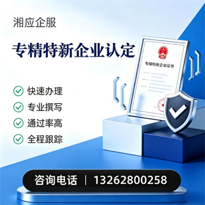 云南专精特新企业申报服务