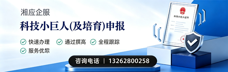云南科技小巨人及培育企业申报服务