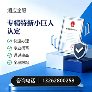 云南专精特新小巨人申报服务