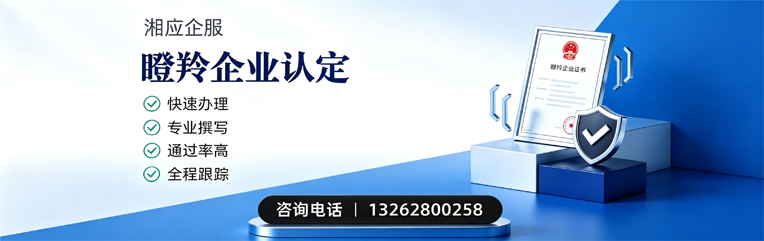 云南瞪羚企业认定申报服务