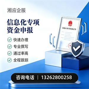 云南信息化专项资金申报服务