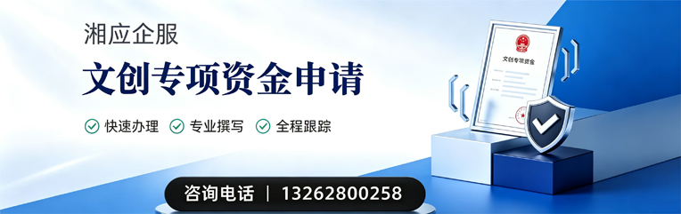 云南文创专项资金申报服务