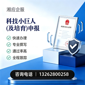 云南科技小巨人及培育企业申报服务