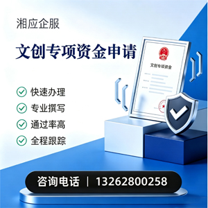 云南文创专项资金申报服务