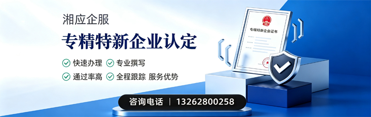 云南专精特新企业申报服务