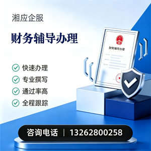 云南财务辅导申请服务