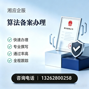 云南算法备案申报服务