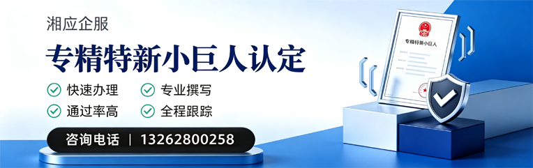 云南专精特新小巨人申报服务